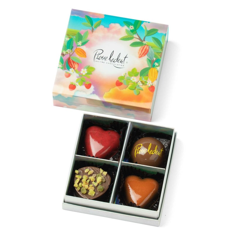 ［ピエール・ルドン］キャトル　2/1（日）より順次お届け