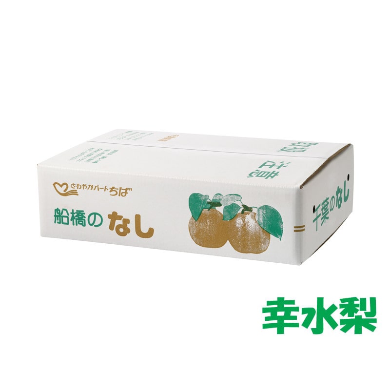 【14】［船橋産］幸水梨 約5kg（10～12個入り）[発送時期：8/5(水)～8/25(火)※日時指定不可]