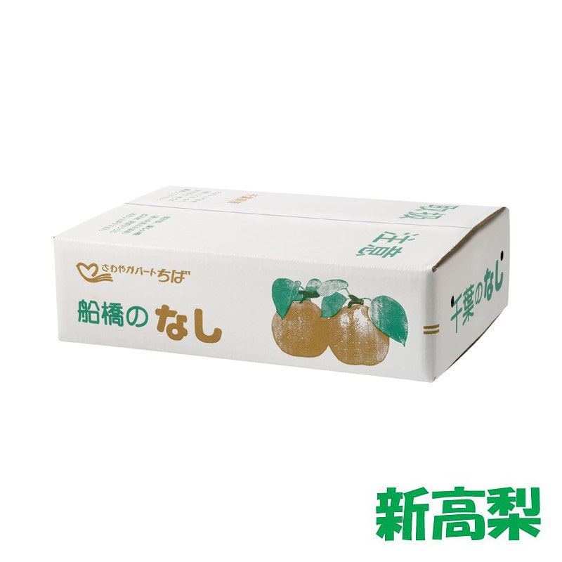 【18】［船橋産］新高梨 約5kg（6～9個入り）[発送時期：9/1(火)～10/5(月)※日時指定不可]