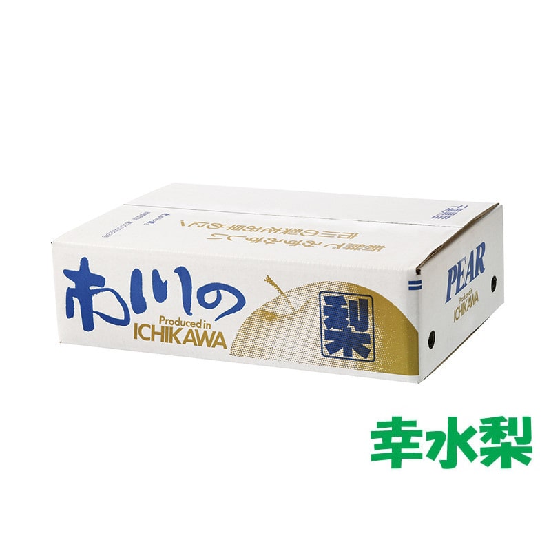 【19】［市川産］幸水梨 約5kg（10～12個入り）[発送時期：8/5(水)～8/25(火)※日時指定不可]