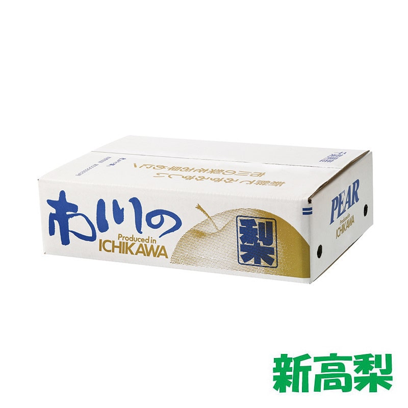 【24】［市川産］新高梨 約5kg（6～9個入り）[発送時期：9/1(火)～10/5(月)※日時指定不可]