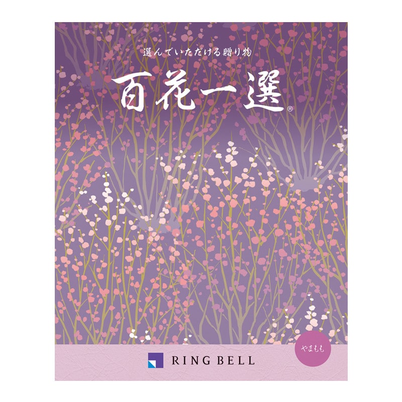 百花一選・弔事用 山桃（やまもも）【カタログギフト】