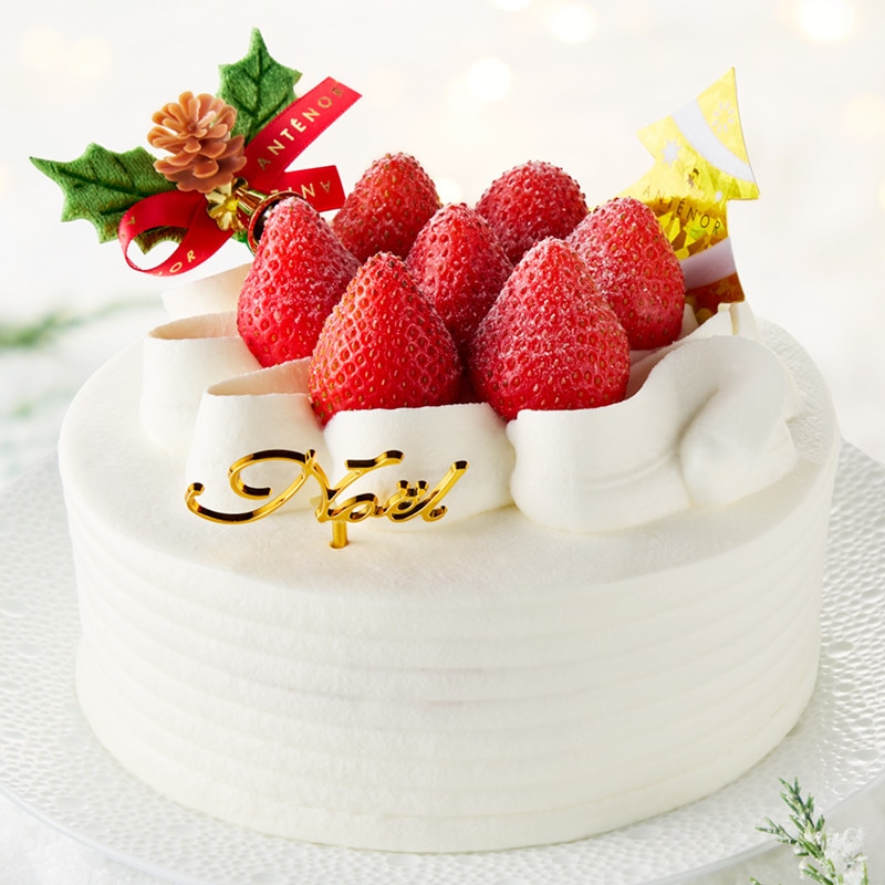 ［アンテノール］ノエル・フレーズ（15cm）【池袋店舗お渡し】