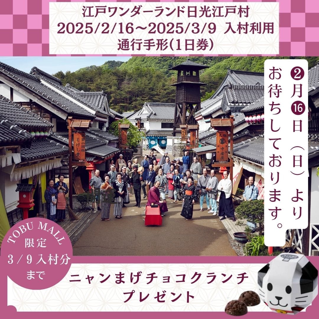 日光江戸村 大人チケット2枚 行楽シーズンまっさかり!日光江戸 日光江戸村 大人チケット2枚 行楽シーズンまっさかり!日光江戸