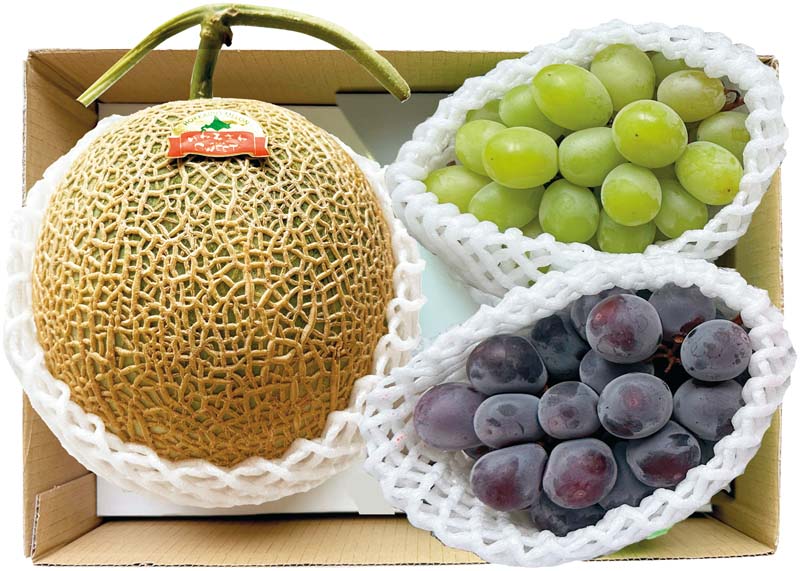メロン 北海道共和町産(JAきょうわ) らいでんメロン 秀品L2個(お届け