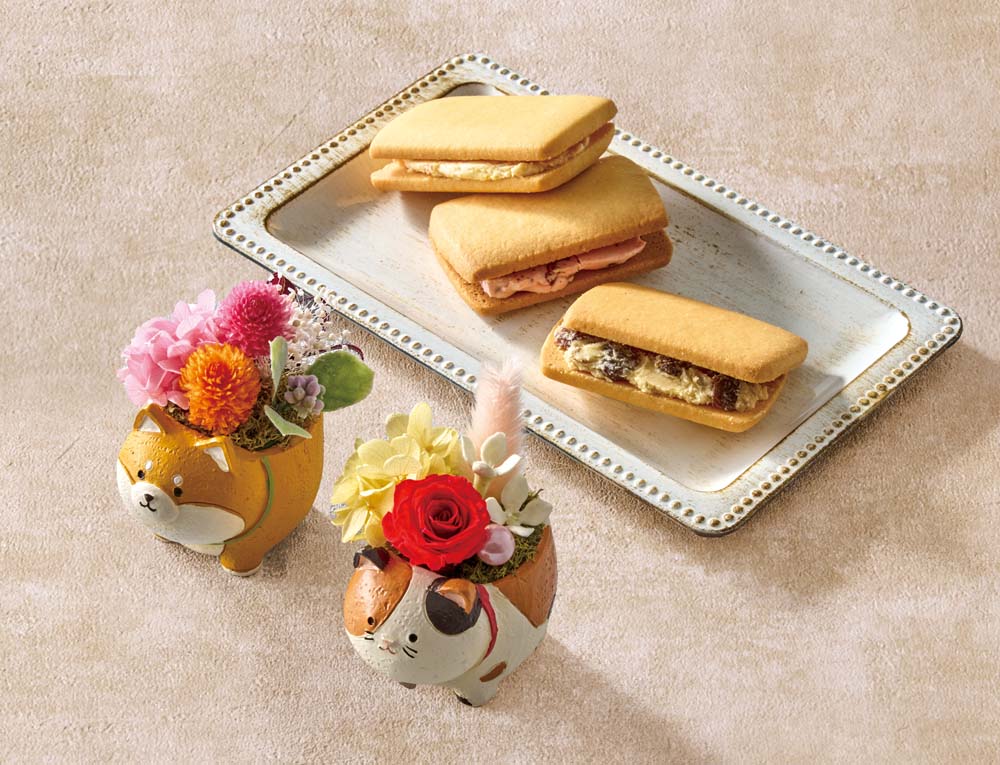 【母の日】アニマルプリザと「銀座千疋屋」銀座フルーツサンド