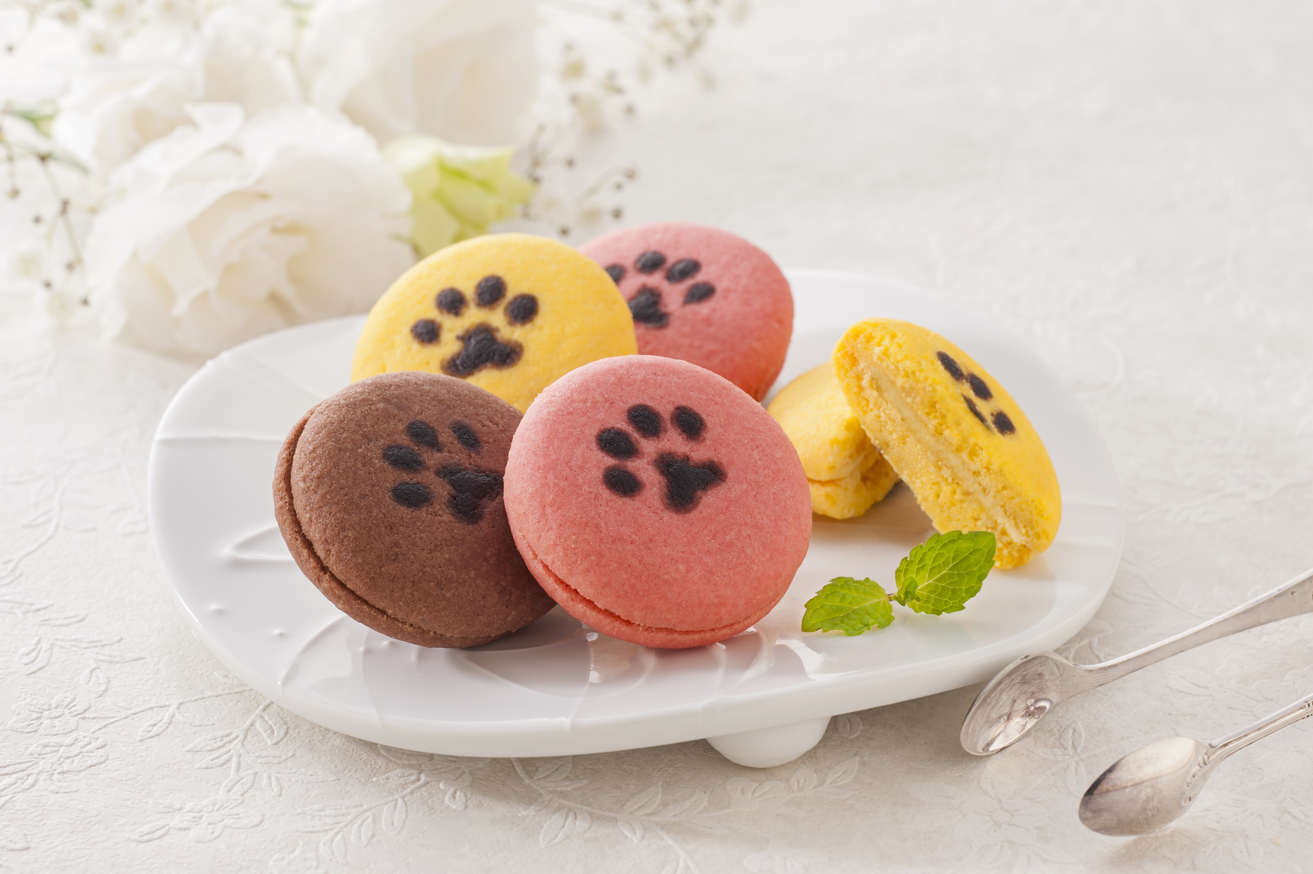  【お中元】イーペルの猫祭り サンドクッキー