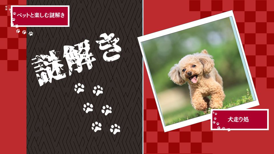 ペットと楽しむ謎解き＆犬走り処