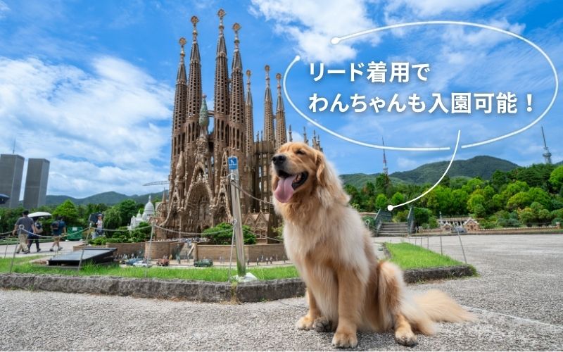 リード着用でわんちゃんも入園可能！