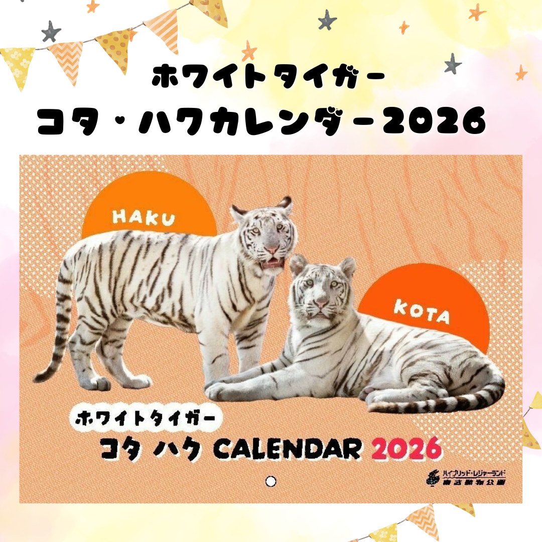 ホワイトタイガーのコタ・ハク　2026年オリジナルカレンダー