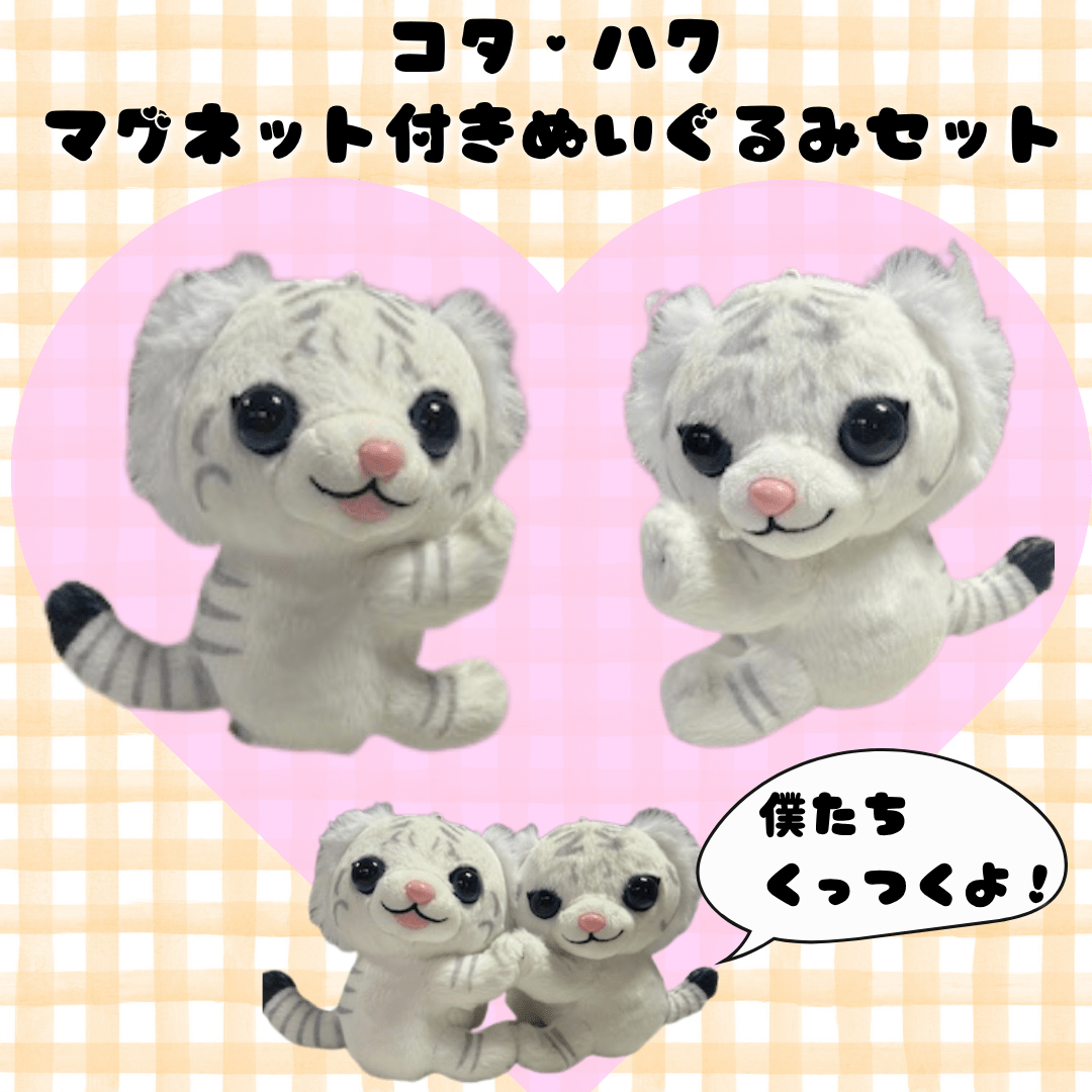 祝1歳記念！コタ・ハクマグネット付きぬいぐるみセット