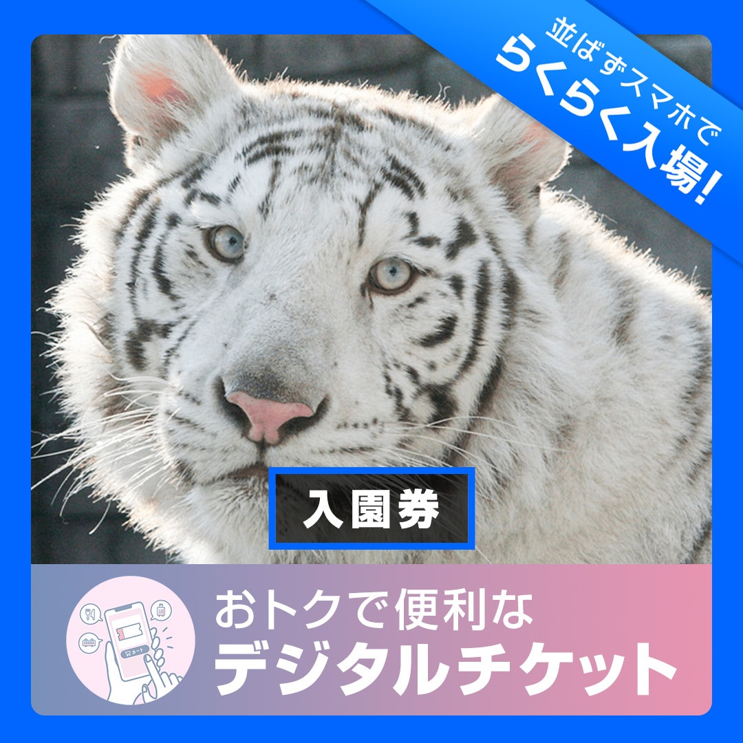 【2026年6月1日～6月30日有効】東武動物公園入園券