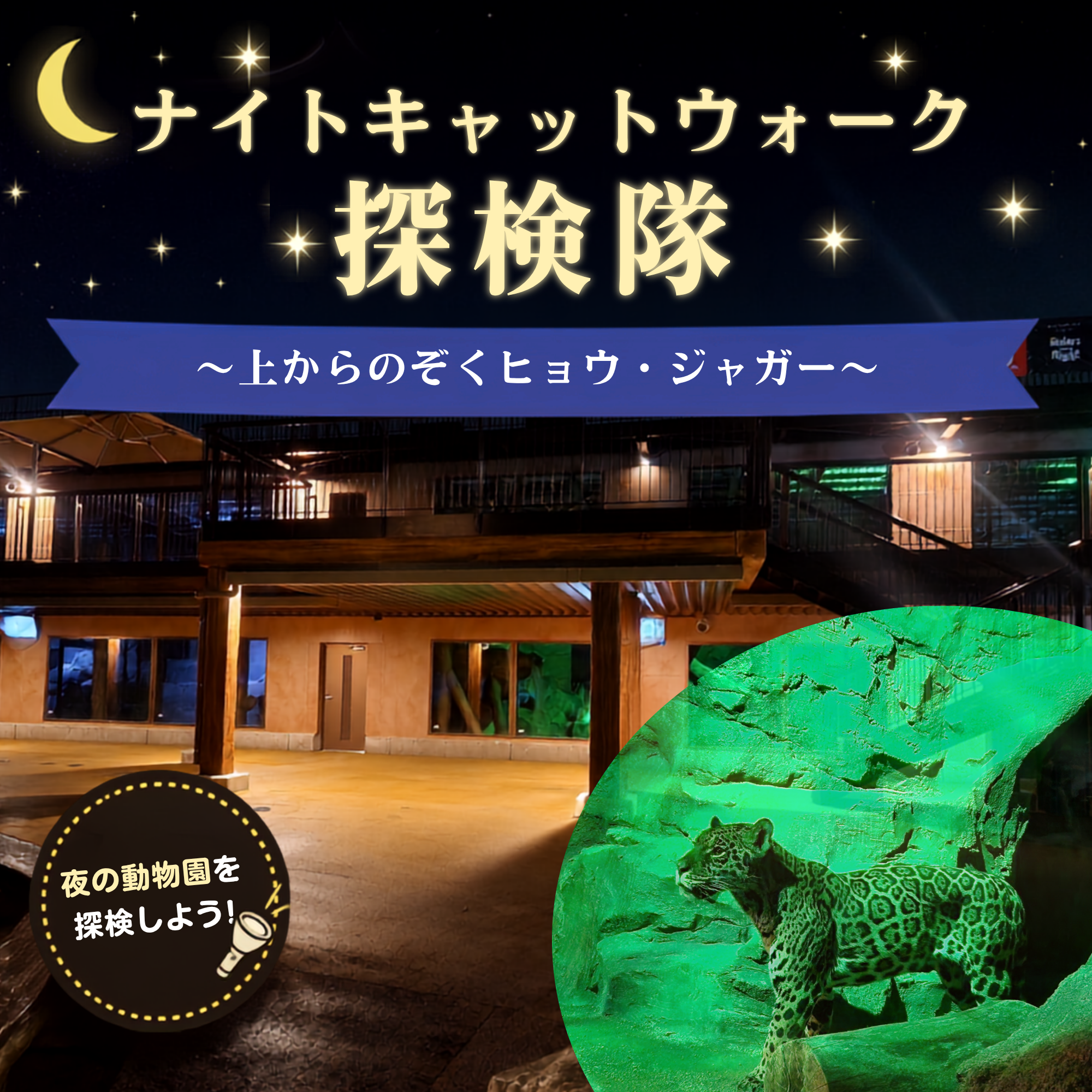 【2026/8/15開催！】  ナイトキャットウォーク探検隊　～上からのぞくヒョウ・ジャガー～