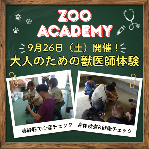  【9月26日(土)開催！】ZOO ACADEMY　大人のための動物園獣医師体験