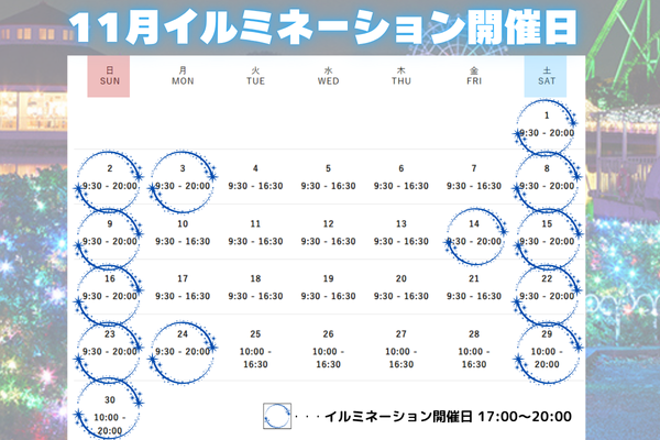 11月イルミ