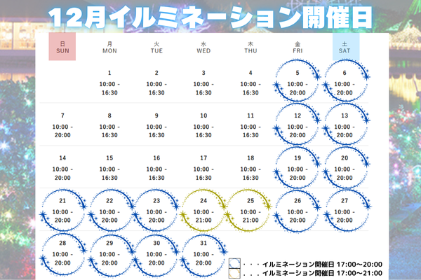 12月イルミ