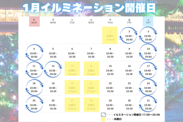 1月イルミ