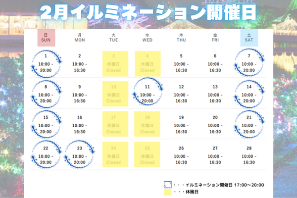 2月イルミ