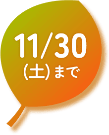 11/30(土)まで